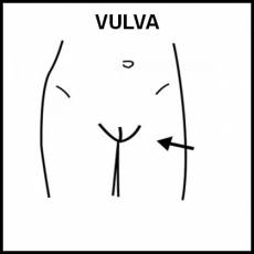 VULVA - Pictograma (blanco y negro)