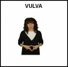 VULVA - Signo
