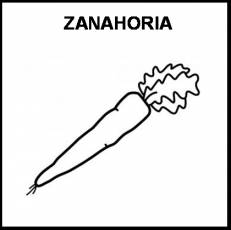 ZANAHORIA - Pictograma (blanco y negro)