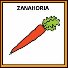 ZANAHORIA - Pictograma (color)
