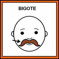 BIGOTE - Pictograma (color)