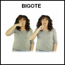 BIGOTE - Signo