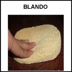BLANDO - Foto