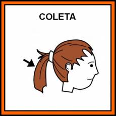 COLETA - Pictograma (color)