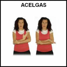 ACELGAS - Signo