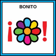 BONITO - Pictograma (color)