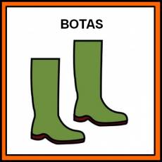 BOTAS - Pictograma (color)