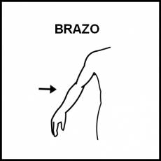 BRAZO - Pictograma (blanco y negro)