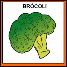 BRÓCOLI - Pictograma (color)