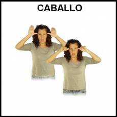 CABALLO - Signo