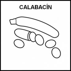 CALABACÍN - Pictograma (blanco y negro)