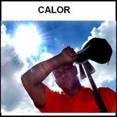 CALOR - Foto