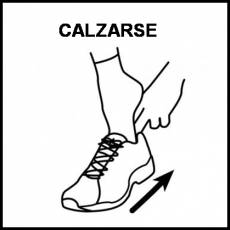 CALZARSE - Pictograma (blanco y negro)