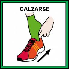 CALZARSE - Pictograma (color)