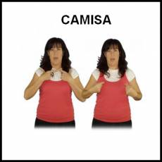 CAMISA - Signo