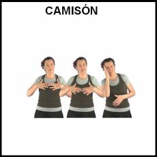 CAMISÓN - Signo