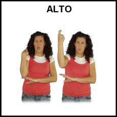 ALTO - Signo