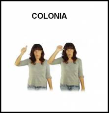COLONIA - Signo