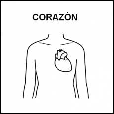 CORAZÓN (ÓRGANO) - Pictograma (blanco y negro)