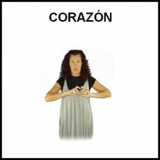 CORAZÓN (ÓRGANO) - Signo