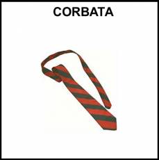 CORBATA - Foto