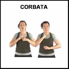 CORBATA - Signo
