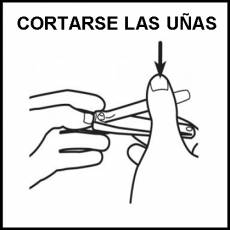 CORTARSE LAS UÑAS - Pictograma (blanco y negro)