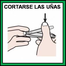 CORTARSE LAS UÑAS - Pictograma (color)
