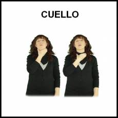 CUELLO - Signo