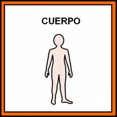 CUERPO - Pictograma (color)