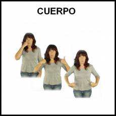 CUERPO - Signo