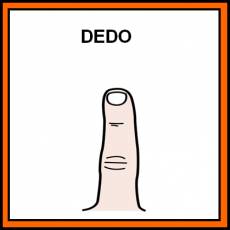 DEDO - Pictograma (color)