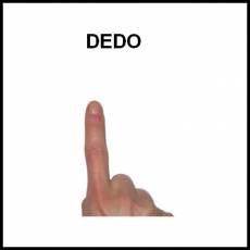 DEDO - Foto