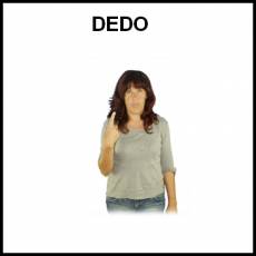 DEDO - Signo