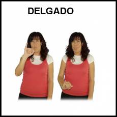 DELGADO - Signo