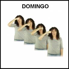 DOMINGO - Signo