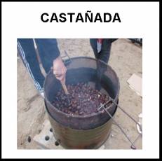 CASTAÑADA - Foto