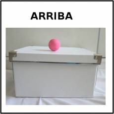 ARRIBA - Foto