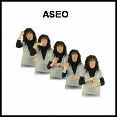 ASEO (HIGIENE) - Signo