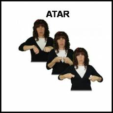 ATAR - Signo