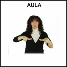 AULA - Signo