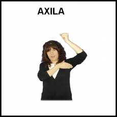 AXILA - Signo