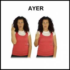 AYER - Signo