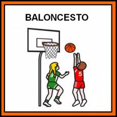 BALONCESTO - Pictograma (color)
