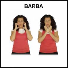 BARBA - Signo