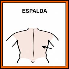 ESPALDA - Pictograma (color)