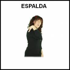 ESPALDA - Signo