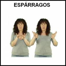 ESPÁRRAGOS - Signo