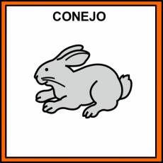 CONEJO - Pictograma (color)