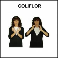 COLIFLOR - Signo